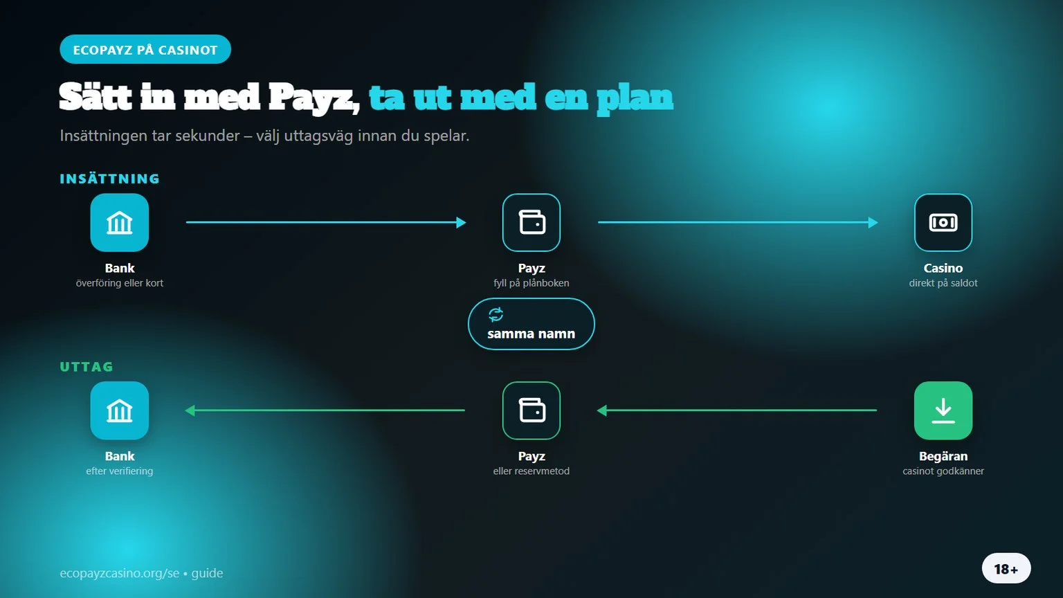 casino med ecopayz: insÀttning med Payz och uttagsvÀg